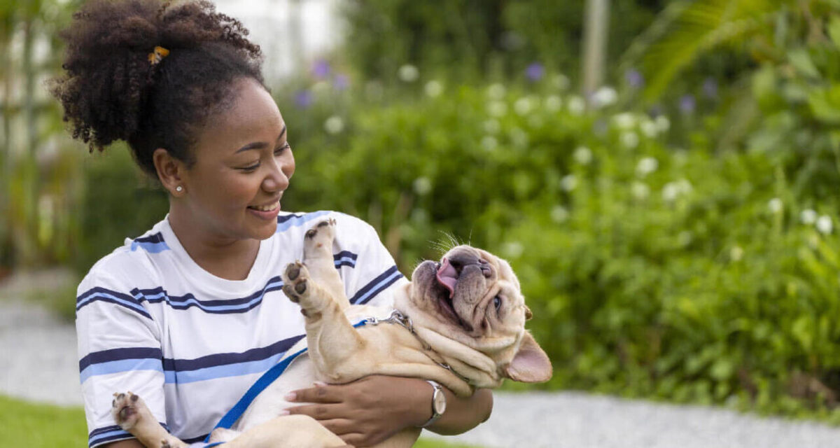 11869675-afrikansk-amerikan-kvinna-ar-spelar-med-henne-franska-bulldogg-valp-medan-gaende-i-de-hund-parkera-pa-gras-grasmatta-after-har-morgon-ovning-under-de-sommar-foota-gratis