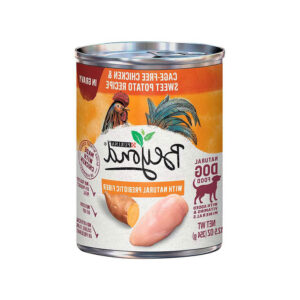 بهترین غذای ارگانیک