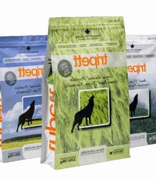 غذای سالم سگ