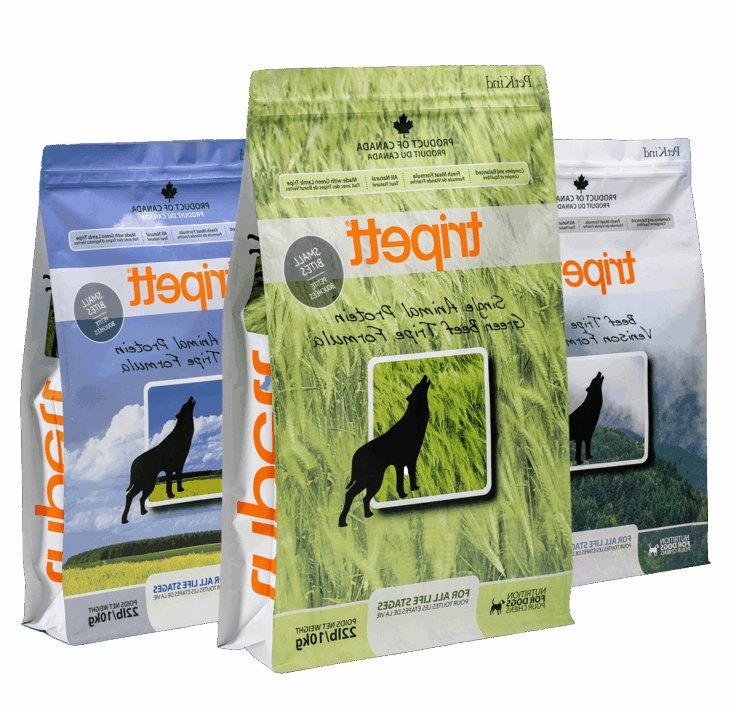 غذای سالم سگ