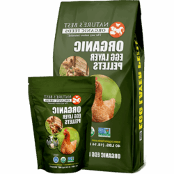 محصول 1 دقیقه