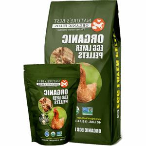 بهترین خوراک های ارگانیک