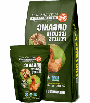 بهترین خوراک های ارگانیک