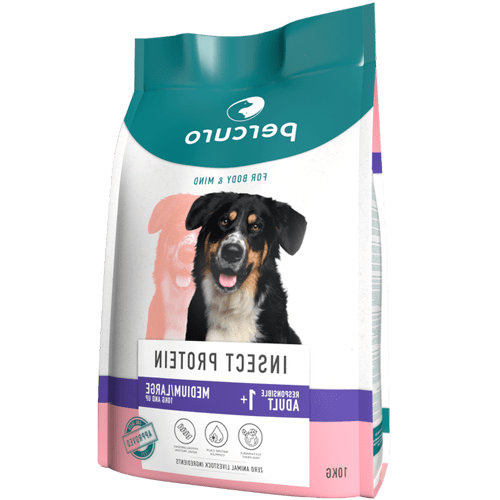 غذای سالم سگ - تصویر 3