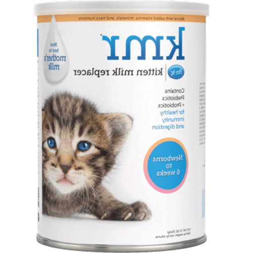 غذای سالم سگ - تصویر 2