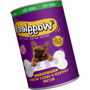 میوه سبز پاپایا