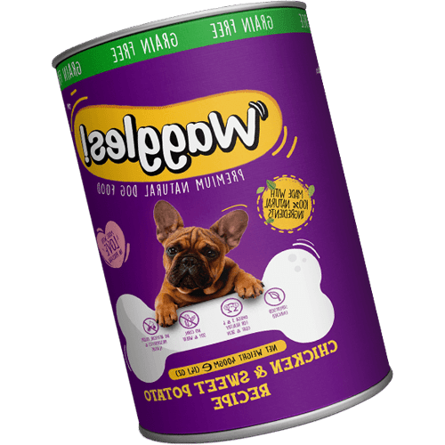 میوه سبز پاپایا