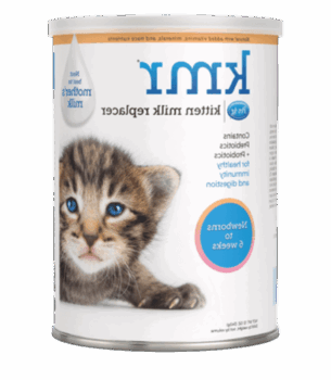 شیر خشک بچه گربه